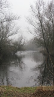 Koude plas